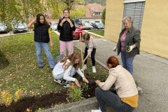 Hortikulturni krožek - urejanje šolske okolice