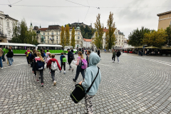 Ljubljanski maraton